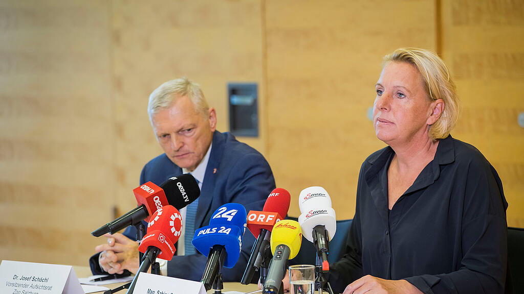 Nashorn t\u00f6tet Pflegerin im Zoo: Pressekonferenz