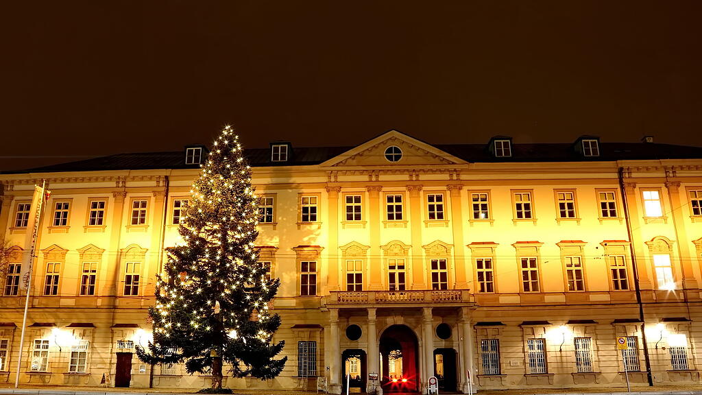 20201128_fmt_weinachtsbaum_KJ013.JPG