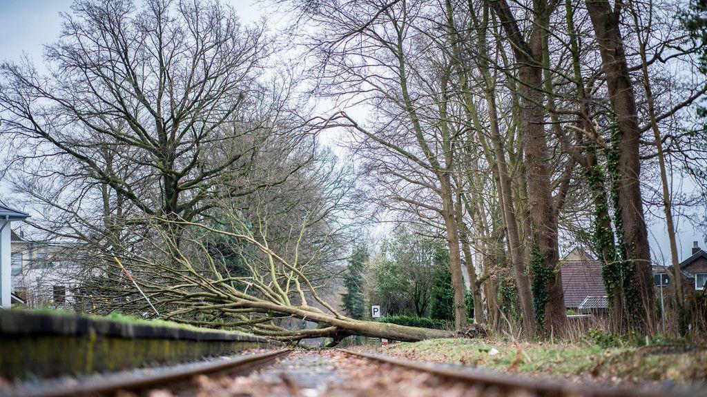 Sturmtief "Friederike" in Europa
