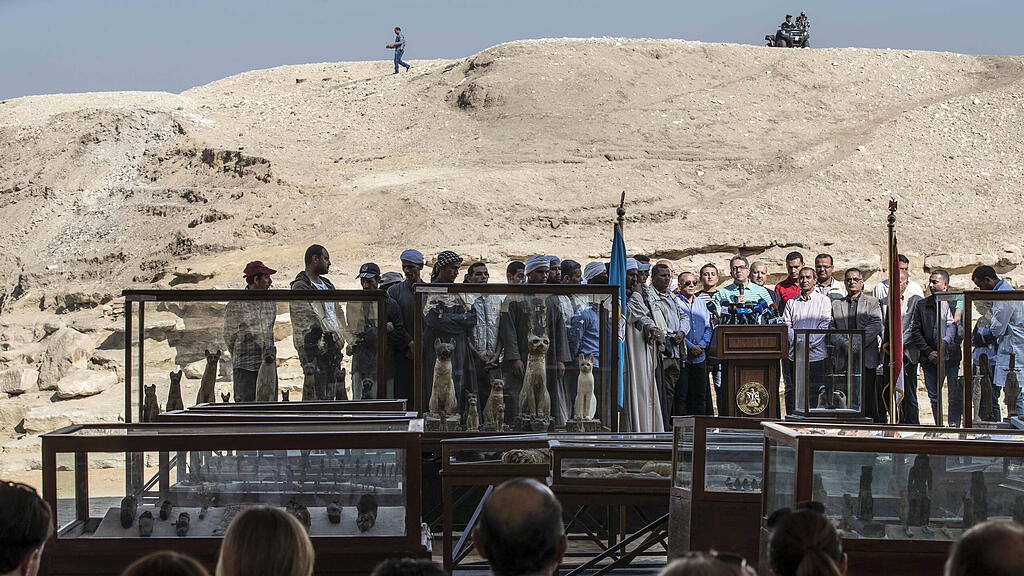 Mumifizierte Löwenbabys in Ägypten