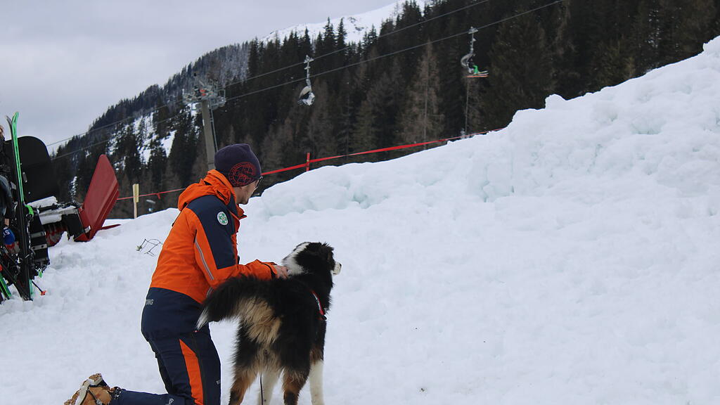 Lawinenhunde Bergrettung Training