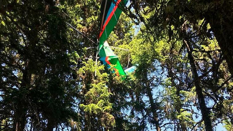 Zell am See, Drachenfliegerin im Baum