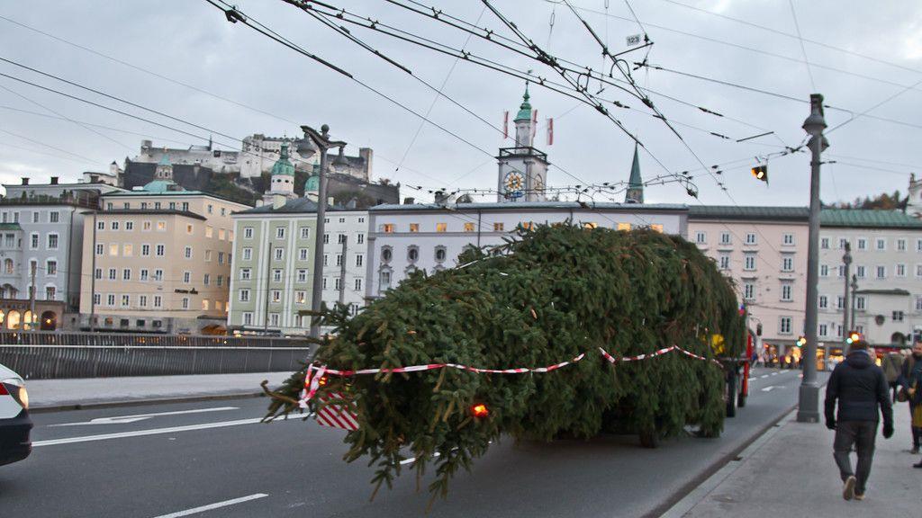 Christbaum ist angekommen