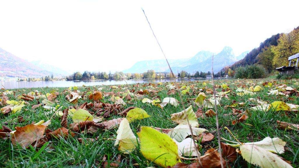 Goldener Herbst am Wolfgangsee