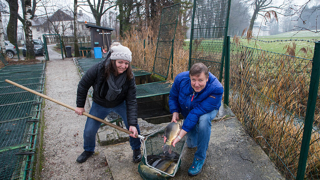 Walter Grüll, Fischzüchter