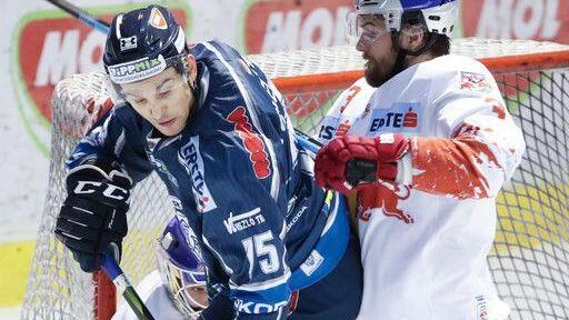 Fehervar - Red Bull Salzburg