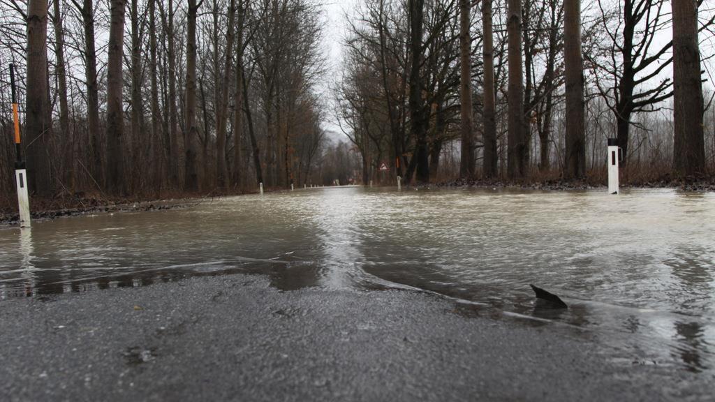 Hochwasser bei Firdolfing