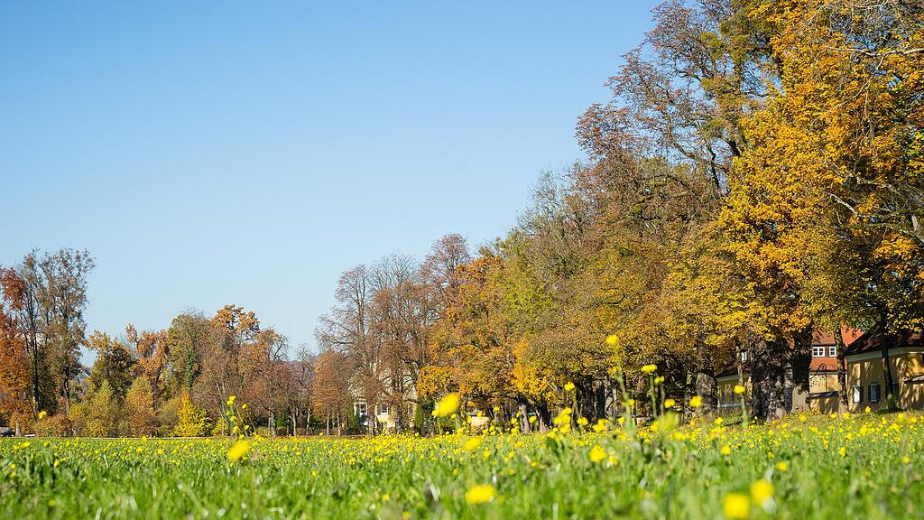 Der Herbst zeigt sich nochmals von seiner besten Seite.