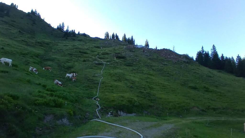 Flurbrand Leogang