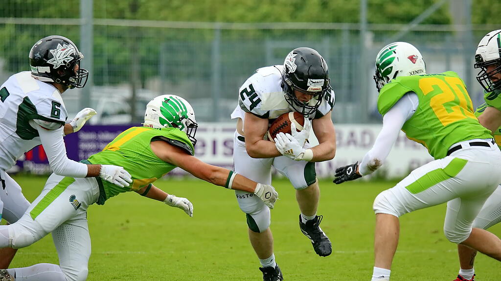 Salzburg Ducks, Danube Dragons