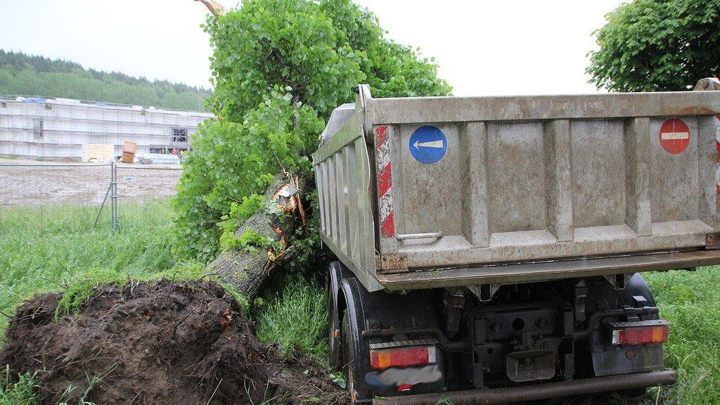 Lkw prallt in Baum