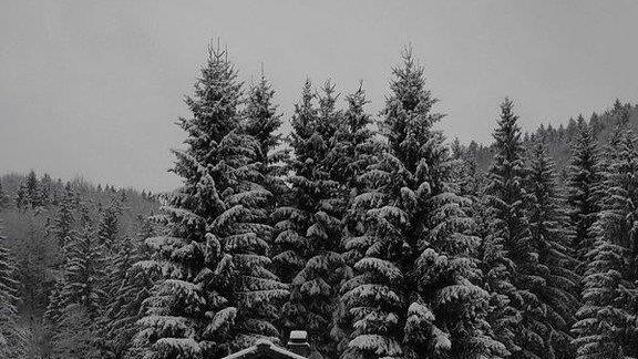 Winter in Ebenau