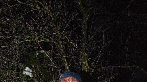 Krampuslauf Lochen II