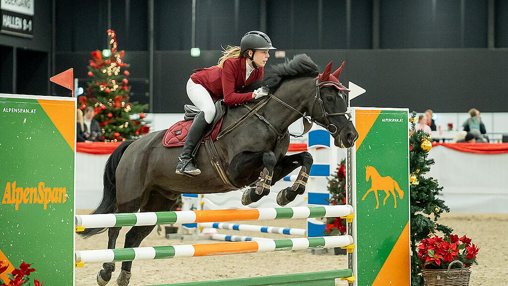 Amadeus Horse Indoors 2023