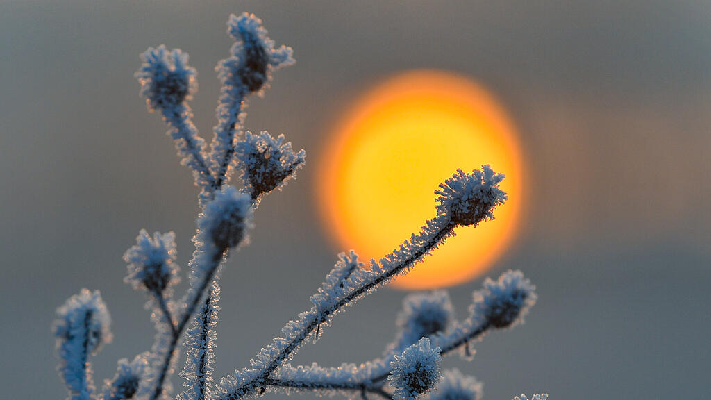 Sonne Winter