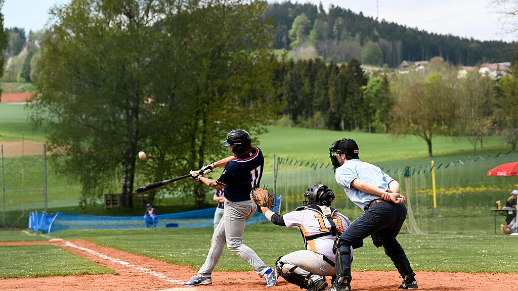Braves Hallein, Baseball