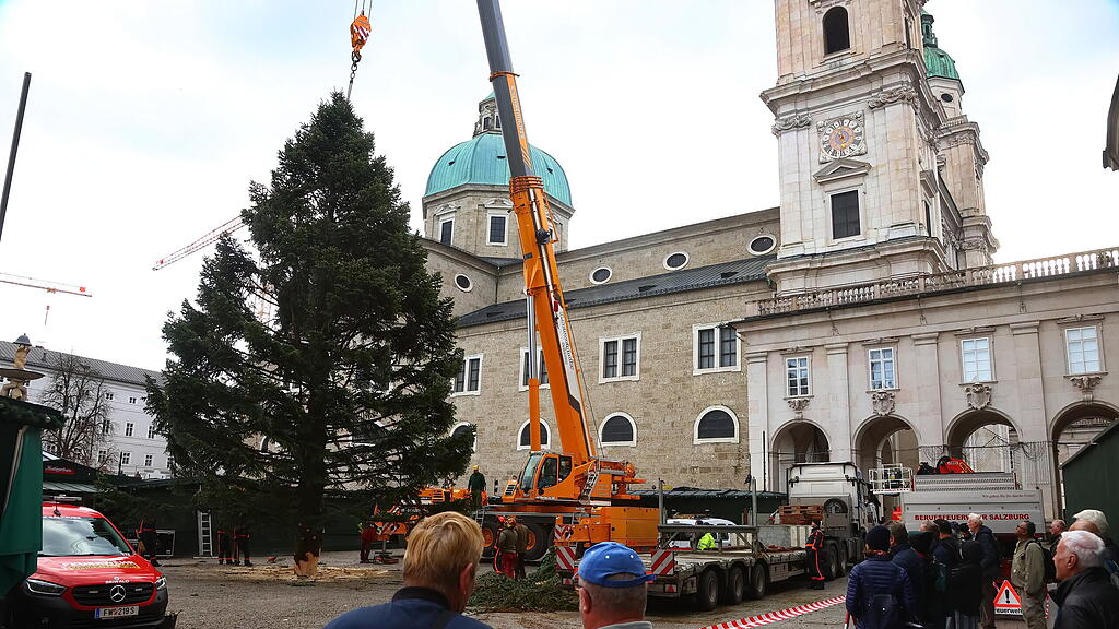 Baum am Christkindlmarkt eingetroffen II