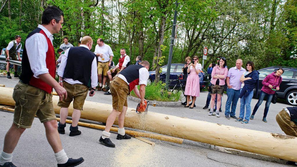 Maibaumaufstellen in Leopoldskron