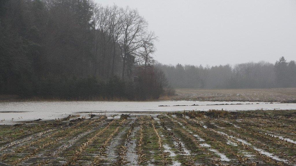 Hochwasser in Petting
