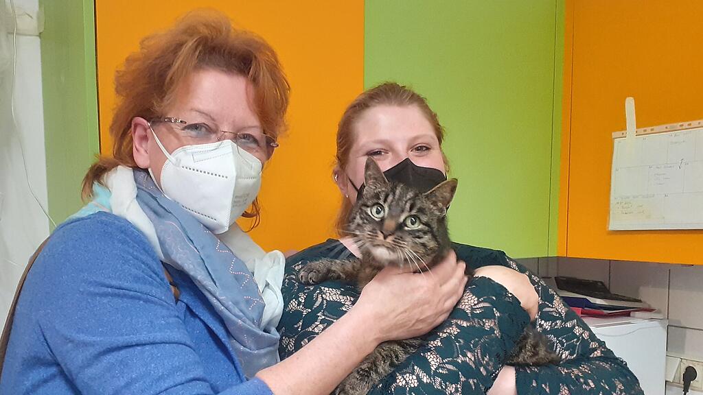 Kater Norbert