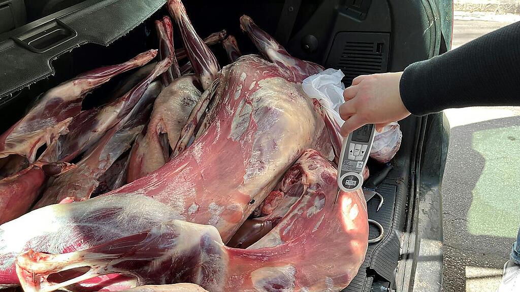 Das Fleisch wies eine Temperatur von über 28 Grad Celsius auf
