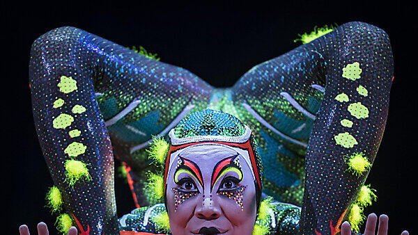Die Show fesselt vom ersten Moment an
