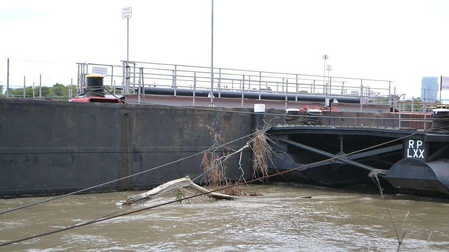 Leserreporter: Hochwasser in Wien-Döbling (Donau bei Nussdorf)