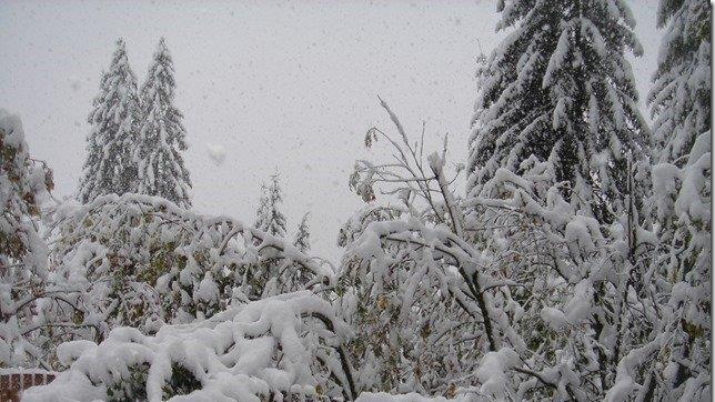 Die ersten Schneebilder der S24.at-User