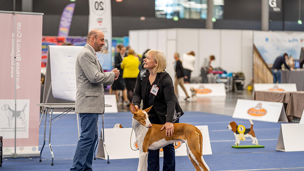 Internationale Hundeausstellung Salzburg 2022