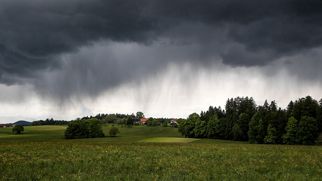symb_regen