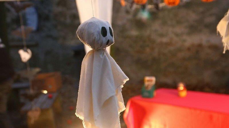 Halloween im Zoo