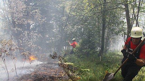 Waldbrand am Thumsee IV