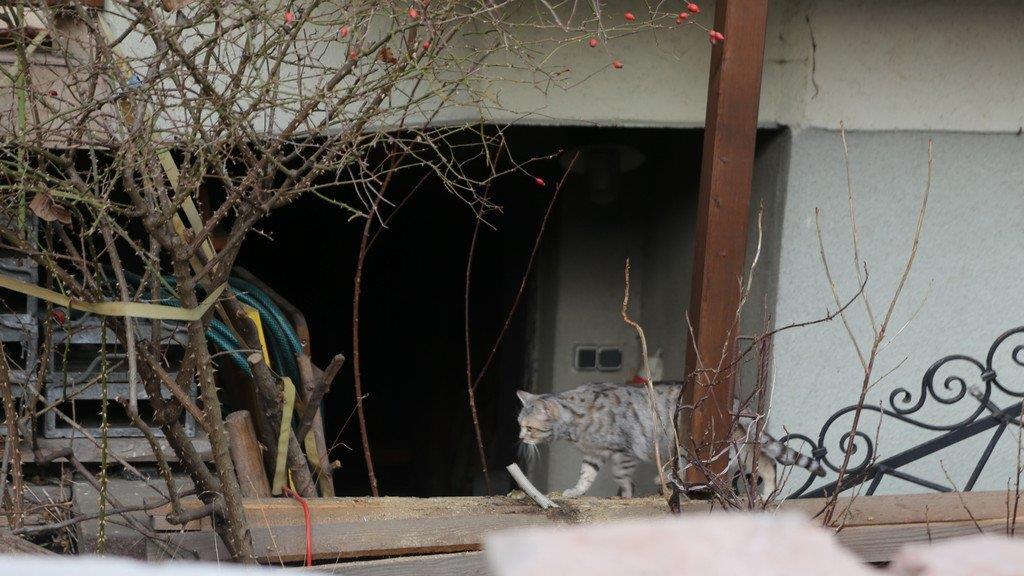 Munition in Keller explodiert