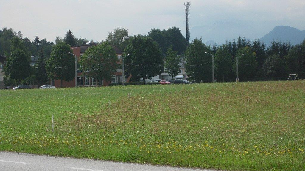 Verlegung Nissenstraße