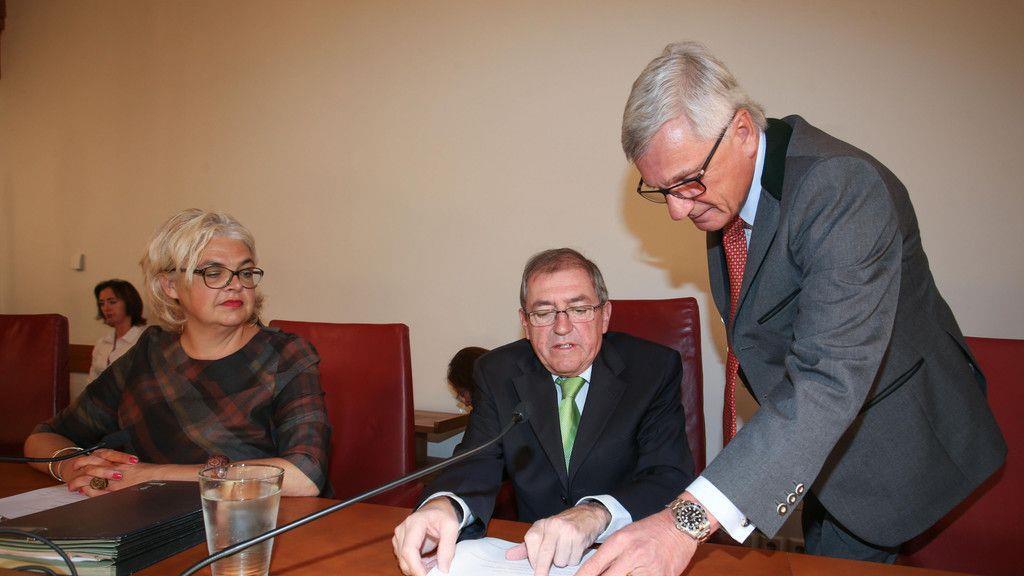 Bürgermeister Heinz Schaden tritt zurück, III