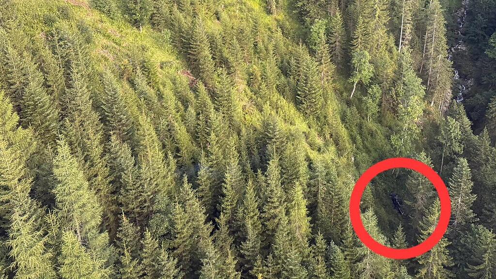 Auto stürzt 100 Meter über Böschung in Wagrain ab: Drei Verletzte
