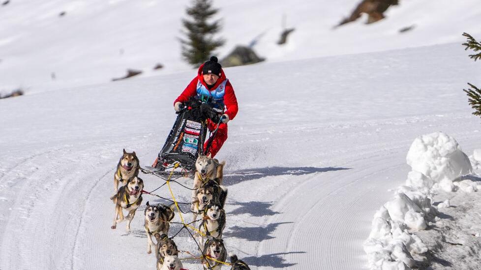 Schlittenhunde-WM in Sportgastein, Samstag