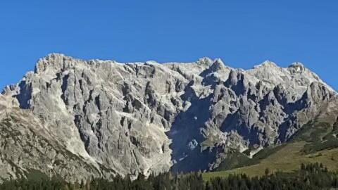 Christbaum aus Maria Alm
