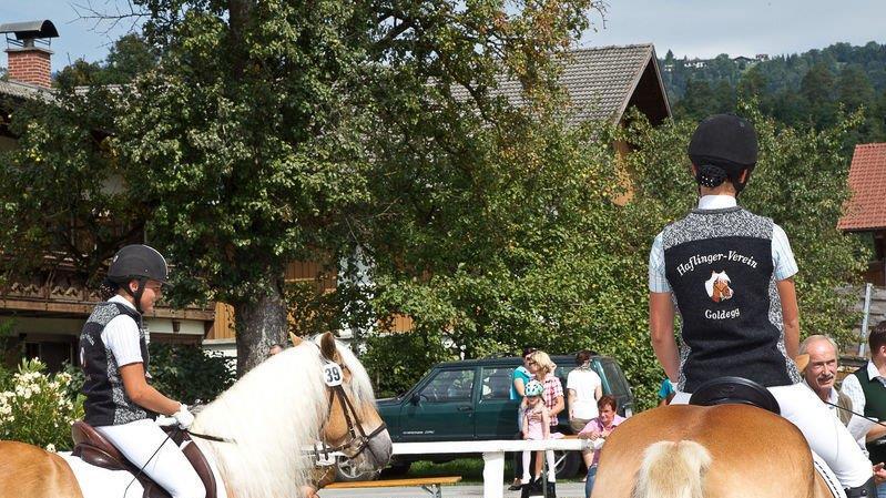 10. Haflinger Landesfohlenschau