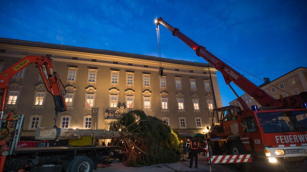 Salzburger Christbaum steht
