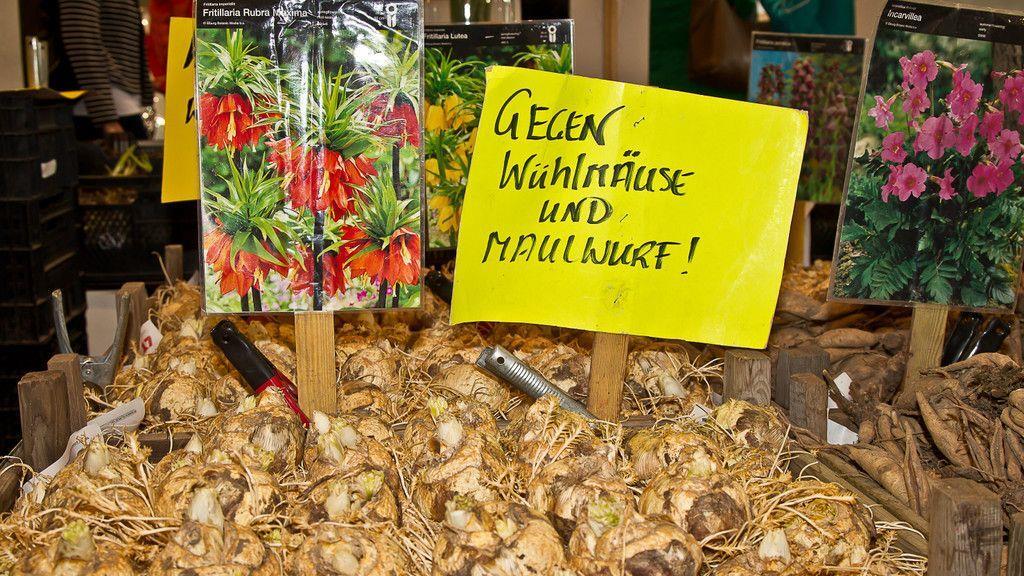 Gartenmesse
