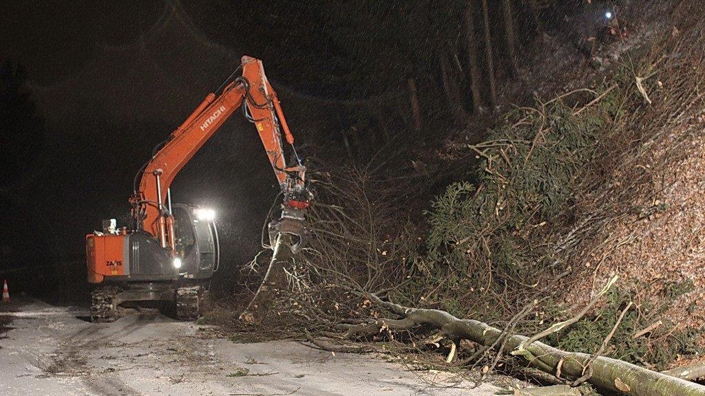Rodungsarbeiten an der A1