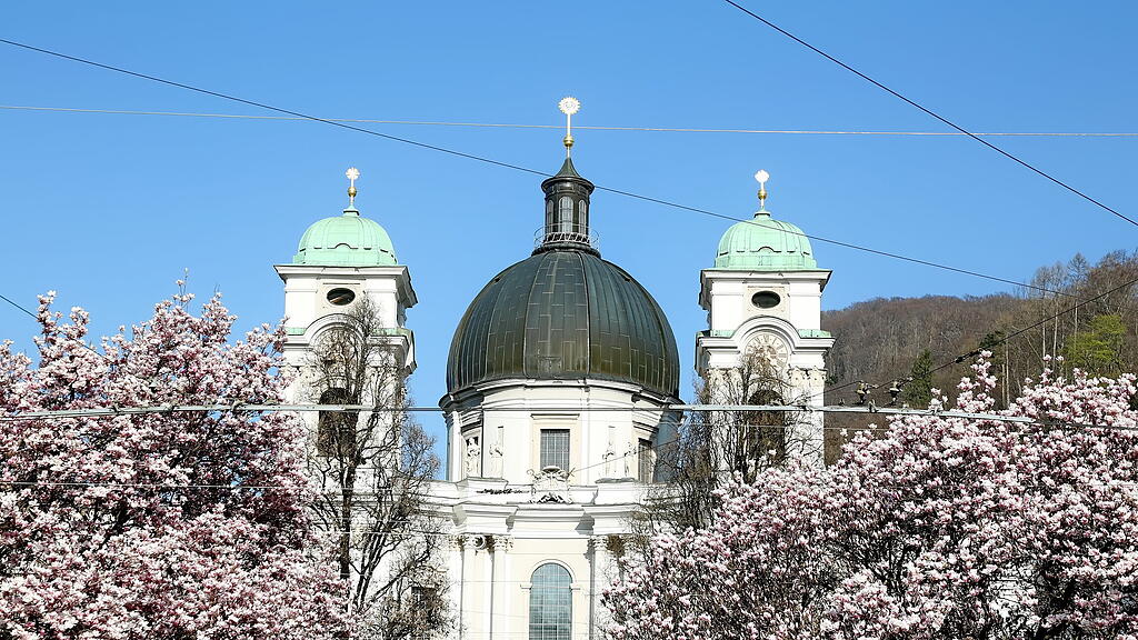 Blühende Magnolien in Salzburg