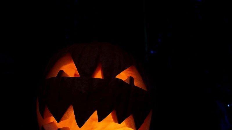 Halloween im Zoo