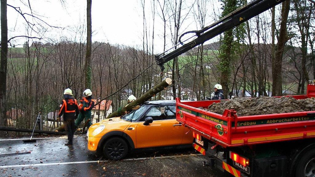 B158: Baum stürzt auf Auto