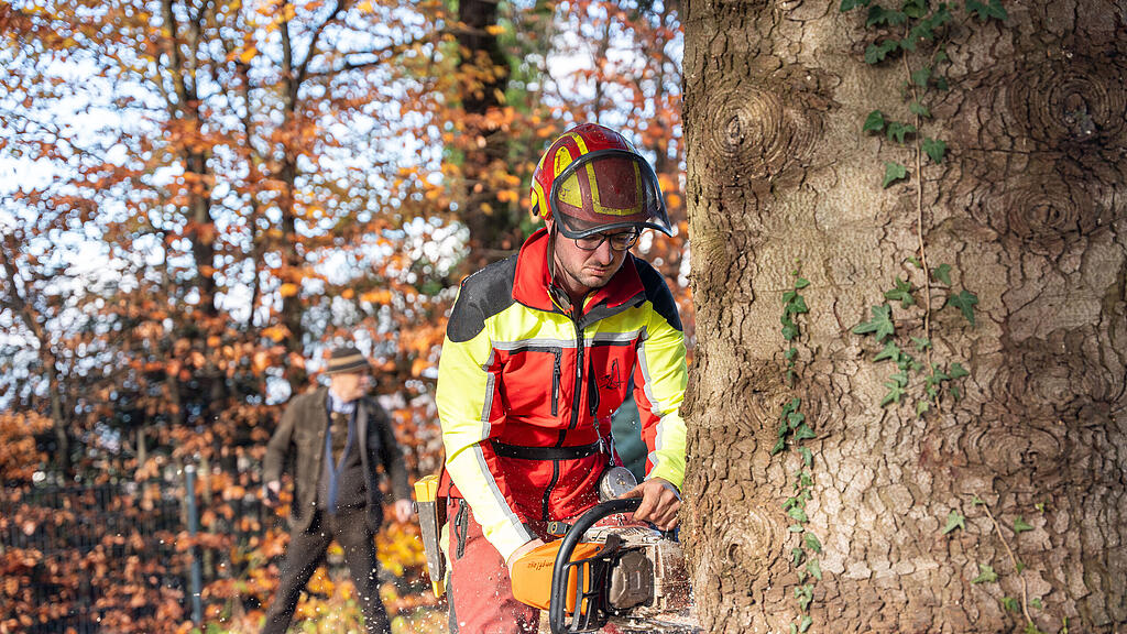 Christbaumernte in St. Jakob am Thurn