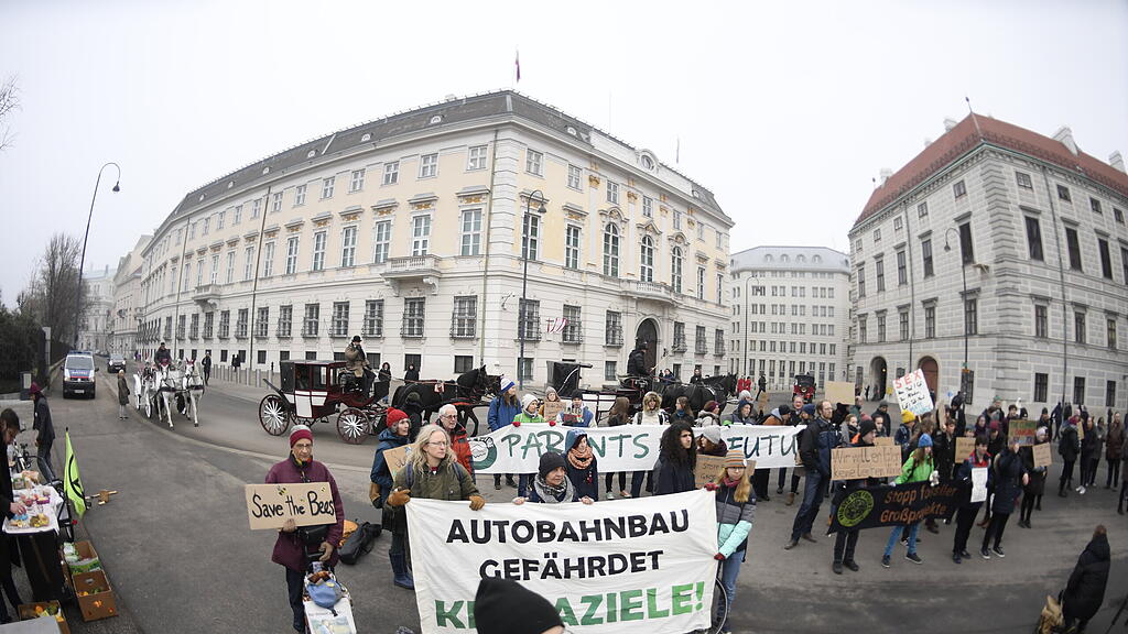 Demo, Fridays for Future, Wien