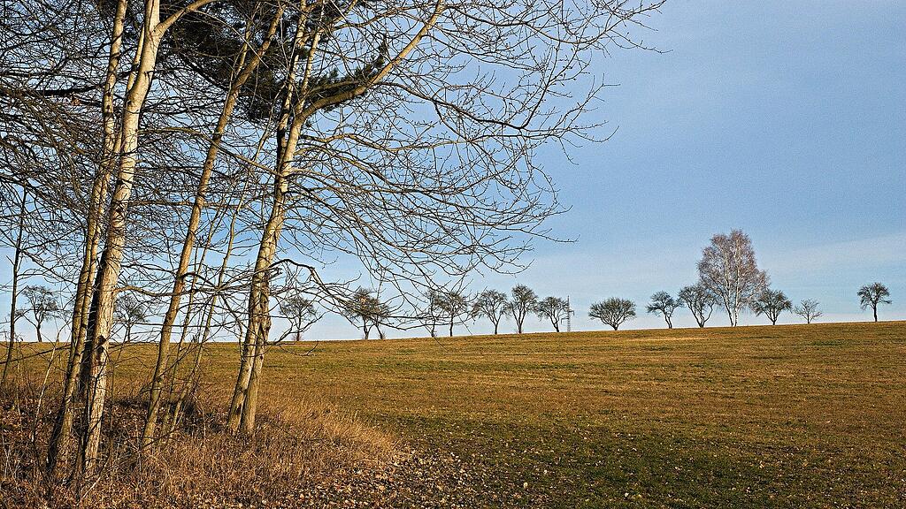 symb_frühling