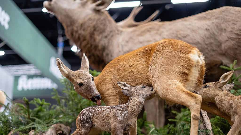 Hohe Jagd