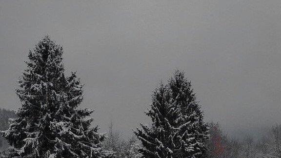Winter in Ebenau